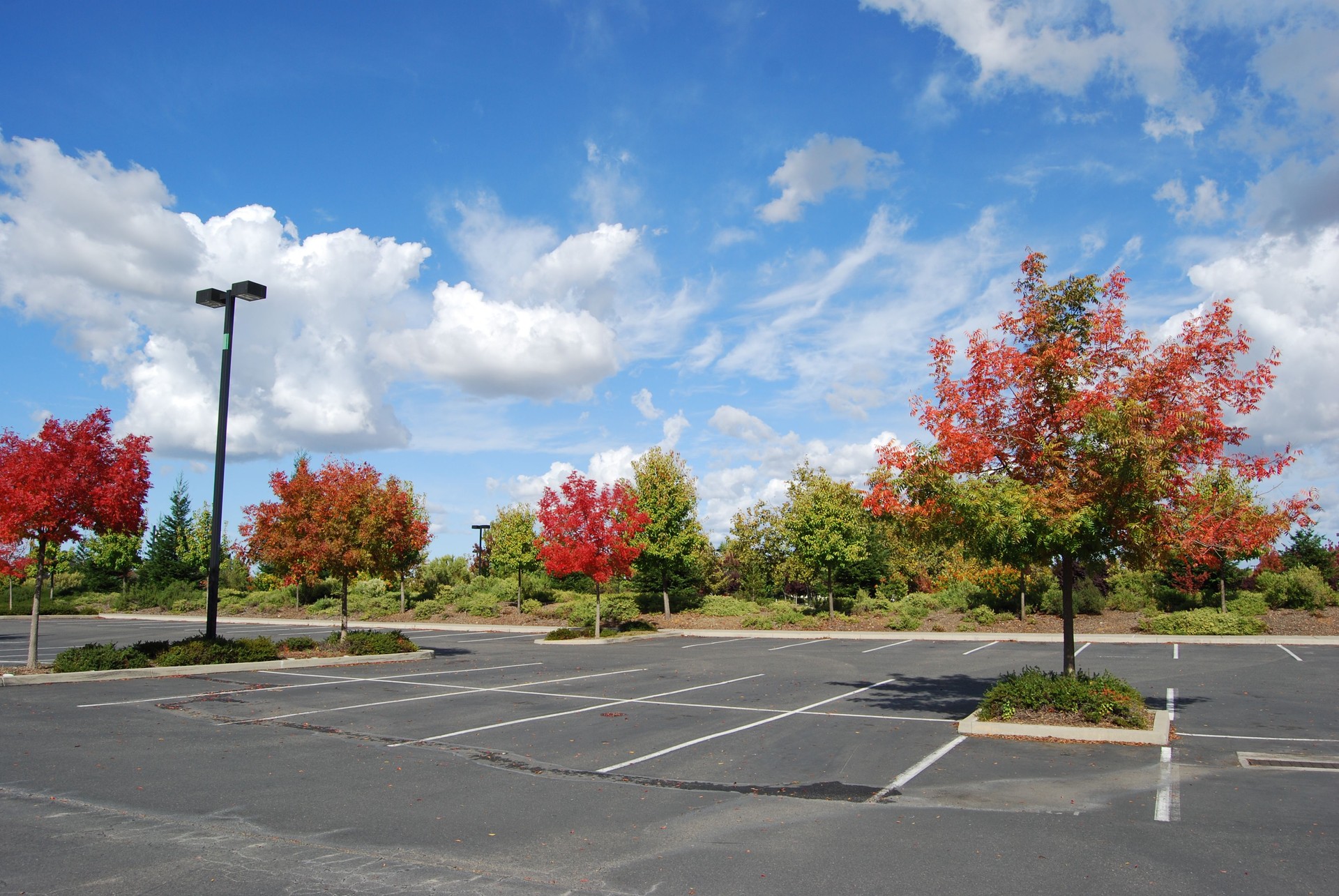 Fall Landscape in an empty parking lot